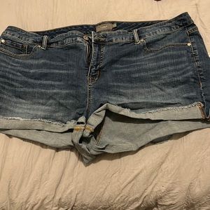 Torrid Jean Shorts